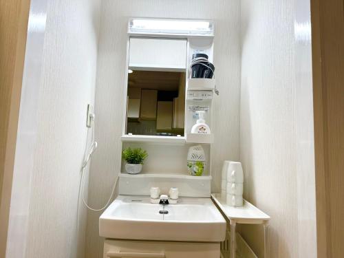 a bathroom with a sink and a mirror at a404涉谷区域 乘电车4分钟到达新宿 巴士直达涉谷步行到西新宿五丁目8分钟 max6 in Tokyo