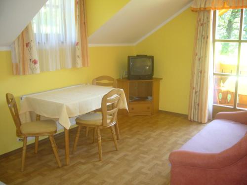 TV a/nebo společenská místnost v ubytování Ferienhof Fischenhaus