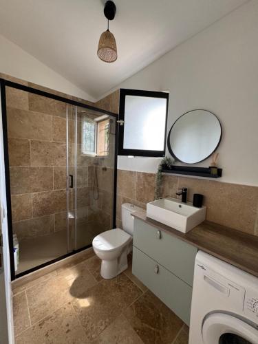 a bathroom with a toilet and a sink and a mirror at Maison de campagne in Quinson