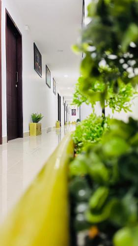 a hallway of a hospital with green plants at THE PLAZA, Very Close to Indira Gandhi Square, Near Sri Kamatchi Hotel, 100 feet Road, PONDICHERRY - JR Groups in Puducherry