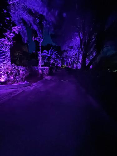 a dark street with purple lights on trees at Villa Pami in Almiros Beach