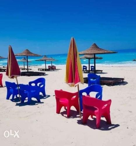 a group of chairs and umbrellas on a beach at The most wonderful view of Brital View North Coast in El Alamein