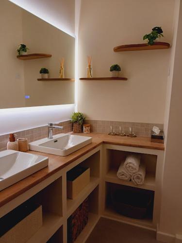 une salle de bain avec deux lavabos et un grand miroir dans l'établissement L'Appartement Pasteur, à Chalon-sur-Saône