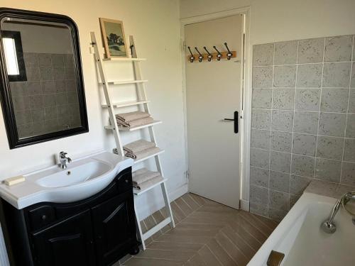 une salle de bain avec un lavabo, un miroir et une douche dans l'établissement La maison du port, à Ploudalmézeau