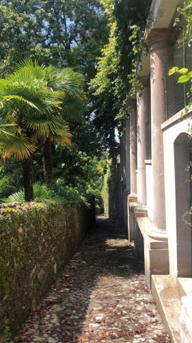 a tree sitting next to a building next to a street at Un alloggio incantevole sul Lago Maggiore in Oggebbio