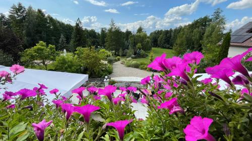 a bunch of pink flowers in a garden at Villa Romana Mazury in Jeziorowskie