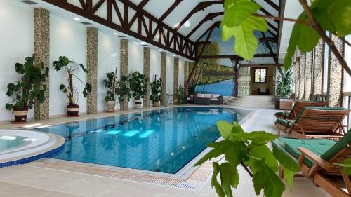 a swimming pool in a house with plants at Villa Romana Mazury in Jeziorowskie