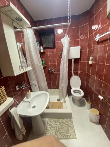 a bathroom with a white sink and a toilet at Hopovske Terase in Irig