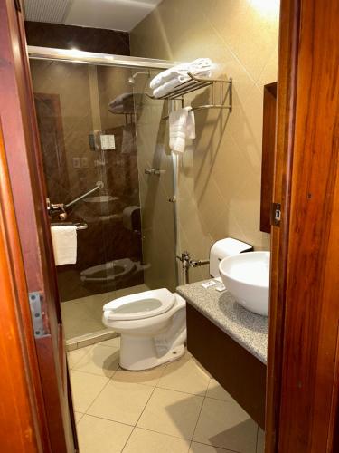 a bathroom with a toilet and a sink at Hotel & Suites El Quijote in Cuenca