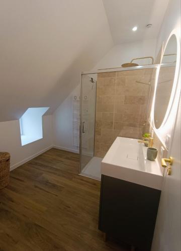 a bathroom with a shower and a white sink at L'appart in Les Pieux