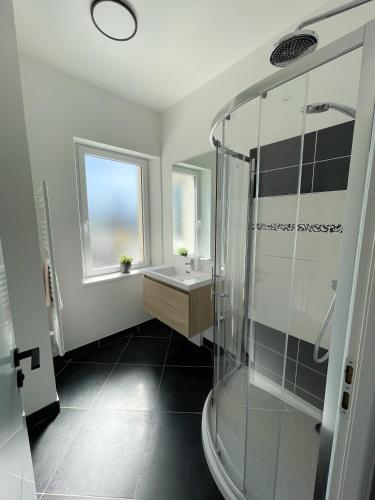 une salle de bain avec un lavabo et une douche dans l'établissement Villa de standing en Champagne, à Fresnes-lès-Reims