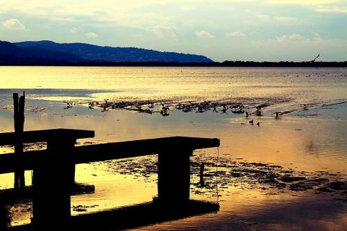 a bench on a beach with birds in the water at Hotel Relais I Presidi in Orbetello