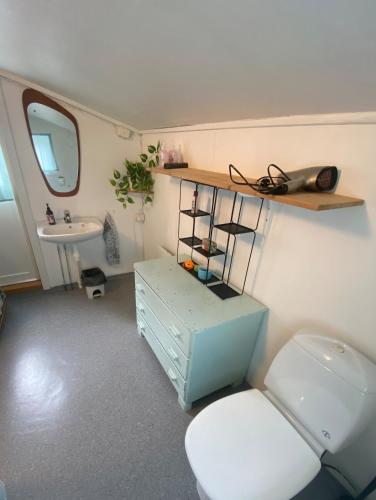 a small bathroom with a toilet and a sink at Hus i Kabelvåg sentrum in Kabelvåg