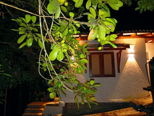 Κήπος έξω από το Paradise Villa & Guest House