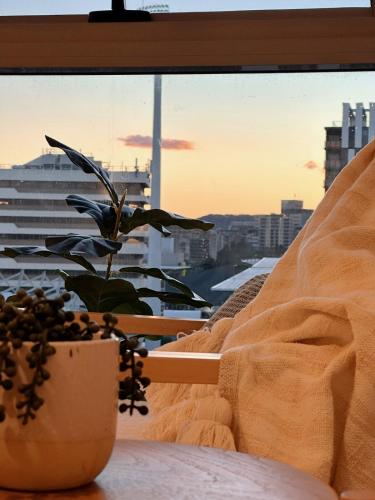 a plant in a pot sitting on a window sill at Boho retreat near The Gabba with stunning views in Brisbane
