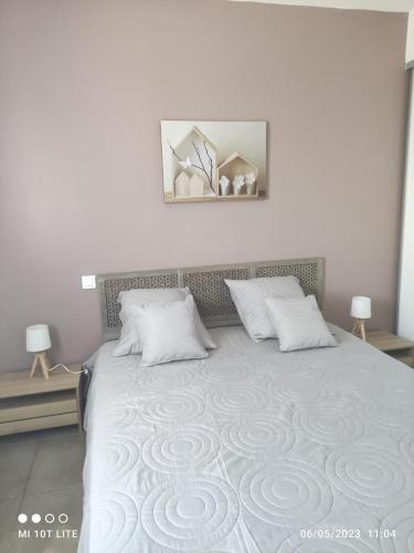 une chambre avec un grand lit avec deux oreillers dans l'établissement SOLENZARA sea view, à Sari-Solenzara