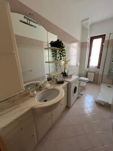 ALGA Roma photo 16