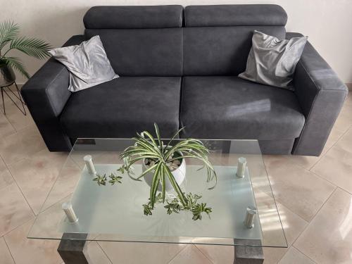 ALGA Roma photo 35