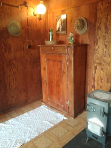 a bathroom with a toilet and a wooden wall at Domek letniskowy in Górzno