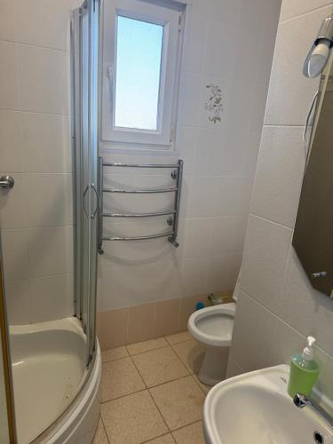a bathroom with a shower and a toilet and a sink at Отдых у моря Одесса in Kryzhanivka