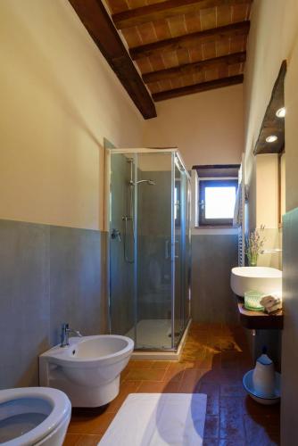 a bathroom with a shower and a toilet and a sink at Borgo di sotto, Il mulino in Cortona