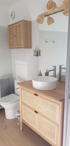 une salle de bain avec un lavabo et des toilettes dans l'établissement Residence grand voile avec vue bassin, à Arcachon