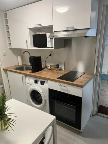 une cuisine avec un évier et une machine à laver dans l'établissement Île des Caraïbes, à Paris