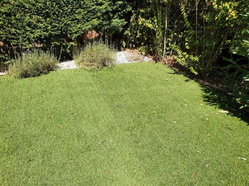 a yard with green grass and bushes and trees at La cabane des rêves in Pérols