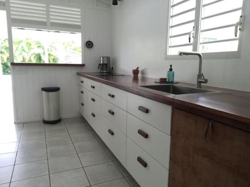 una cocina con fregadero y encimera en Belle Villa Créole, en Petit-Bourg