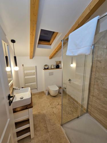 a bathroom with a shower and a toilet and a sink at Casa Mara Viseu de Sus in Vişeu de Sus