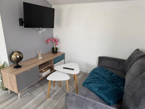 un salon avec un canapé et une télévision dans l'établissement Maisonnette indépendante, à Chaumont