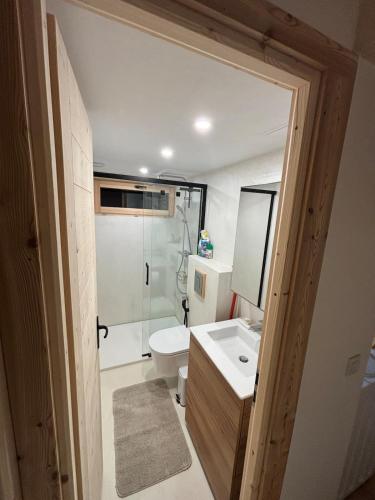 une salle de bain avec toilettes, lavabo et miroir dans l'établissement Face au MtBlanc avec jardin, aux Houches