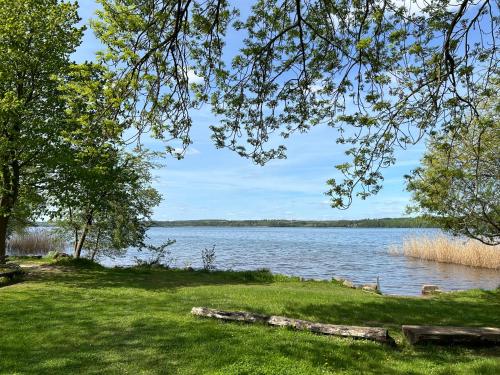 a view of a body of water with trees and grass at Seehotel Heidehof in Klein Nemerow