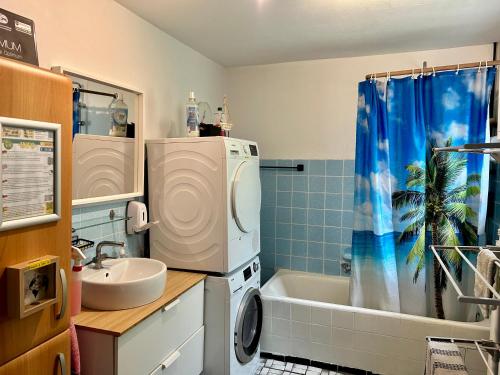 a bathroom with a sink and a washing machine at Deine Pension, Double Room P1, 1-2 beds, 10qm, Check-in 4PM - 5AM in Creglingen