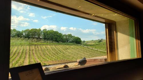a bird sitting on a window sill looking at a field at La Torre sulla via Francigena in Gambassi Terme