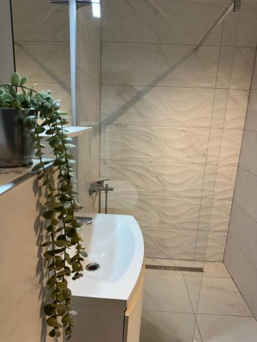 Luxury Old Town Rab Studio Apartments