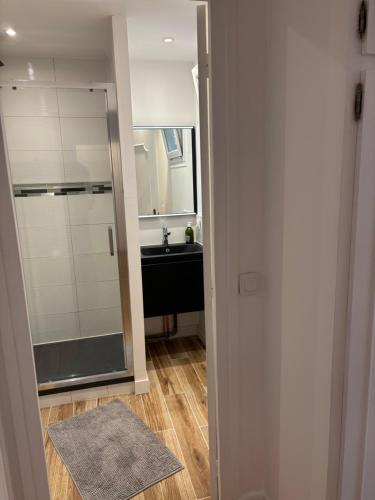 une salle de bain avec une douche, un lavabo et un miroir dans l'établissement Lovely appartement, à Paris