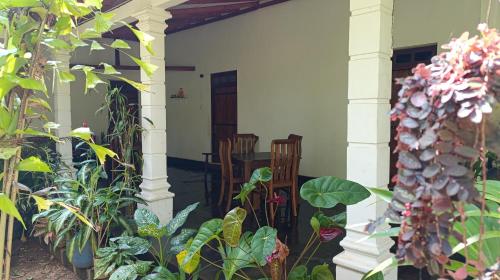 a porch of a house with a bunch of plants at Sigiri Art Home in Dambulla