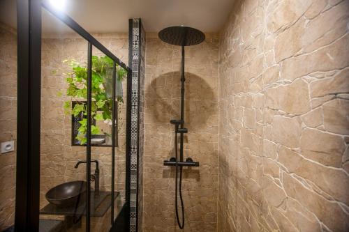 a shower in a bathroom with a stone wall at Studio tout équipé, plein centre in La Ciotat