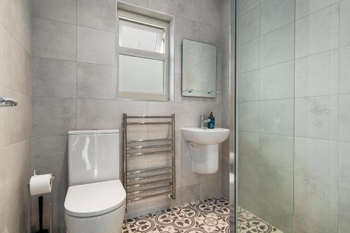 a bathroom with a toilet and a sink and a mirror at Bramble Cottage - Dog Friendly Cottage Hot Tub in Begelly