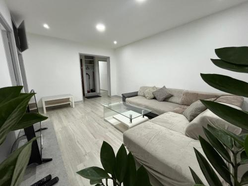 Lovely Emile Zola apartment