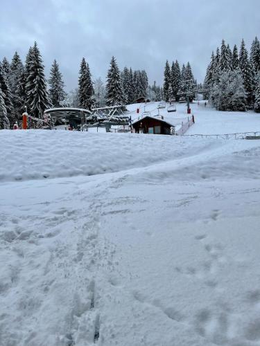 Το Le LODGE Les Esserts 1100 Morillon τον χειμώνα