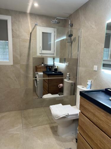 une salle de bain avec toilettes, lavabo et douche dans l'établissement villa Siana, à Antibes