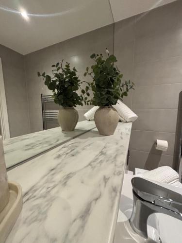 two potted plants sitting on a counter in a bathroom at Beautiful, home from home, one bed stay in Olton