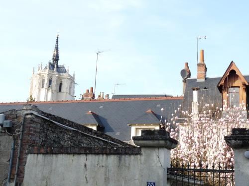 Un bâtiment avec un tas de lumières sur son côté dans l'établissement Le Passage du Roi, maison de ville, jardin et garage au coeur d'Amboise, à Amboise