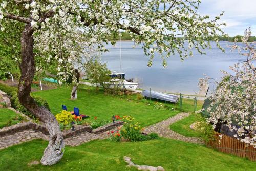 a garden with a view of the water at Augutės Zurlienės apartamentai in Trakai