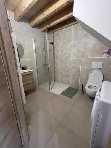 une salle de bain avec douche et toilettes dans l'établissement Appartement proche du lac de Vouglans, à Charchilla
