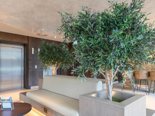a large potted tree in a room with a couch at Amazing Views in Central Leeds - Pass The Keys in Leeds