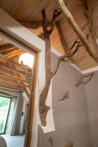 un arbre sur le mur d'une maison dans l'établissement la métairie haute, à Marcilhac-sur-Célé