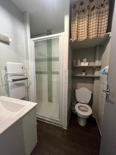 une salle de bain avec une douche, des toilettes et un lavabo dans l'établissement Studio la Bresse pied des pistes, à La Bresse